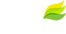 EduSalad